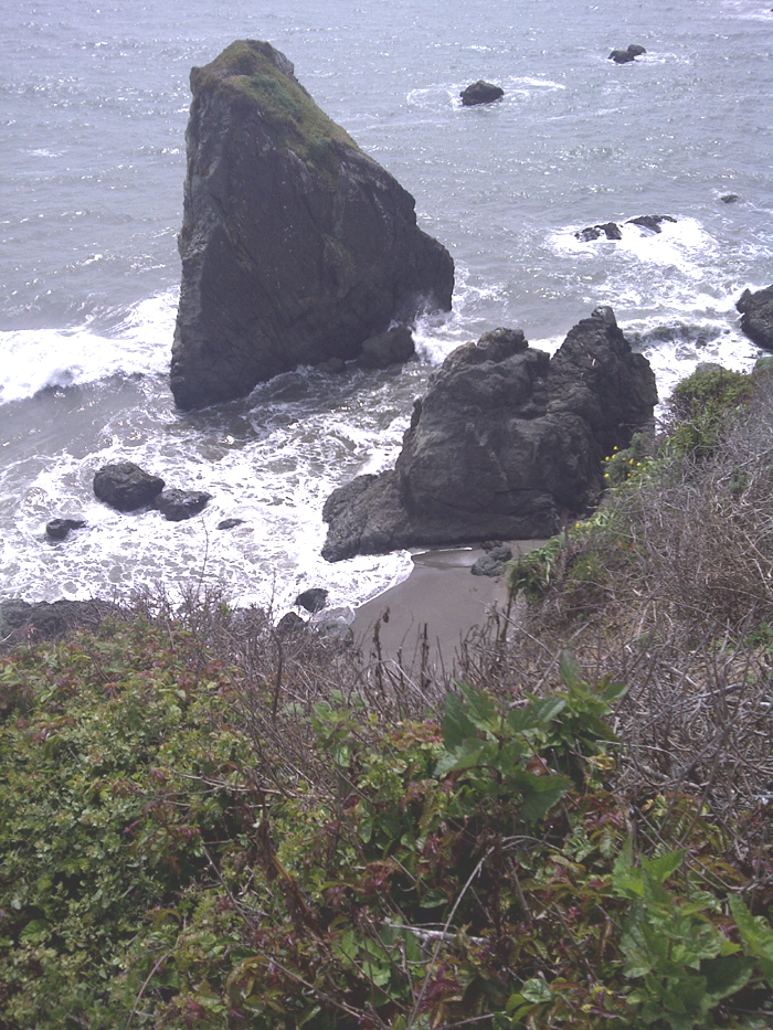 Bodega Bay Goat Head Rock 110507 2